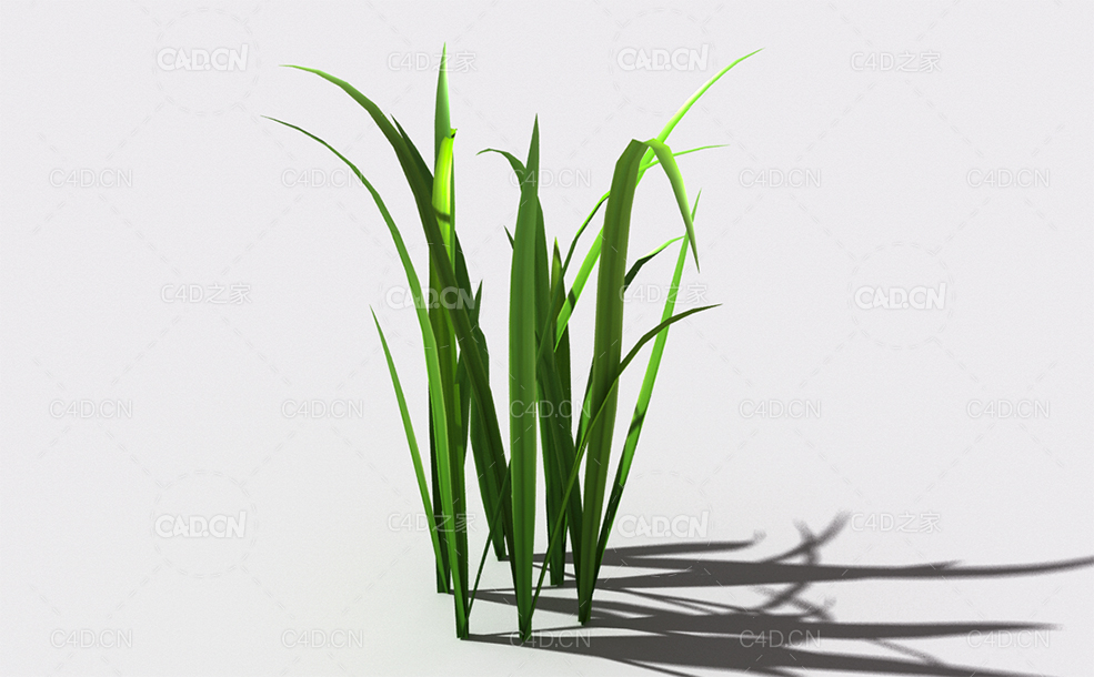 野草植物C4D模型 wild-grass-l3 - C4D之家 - 154.jpg