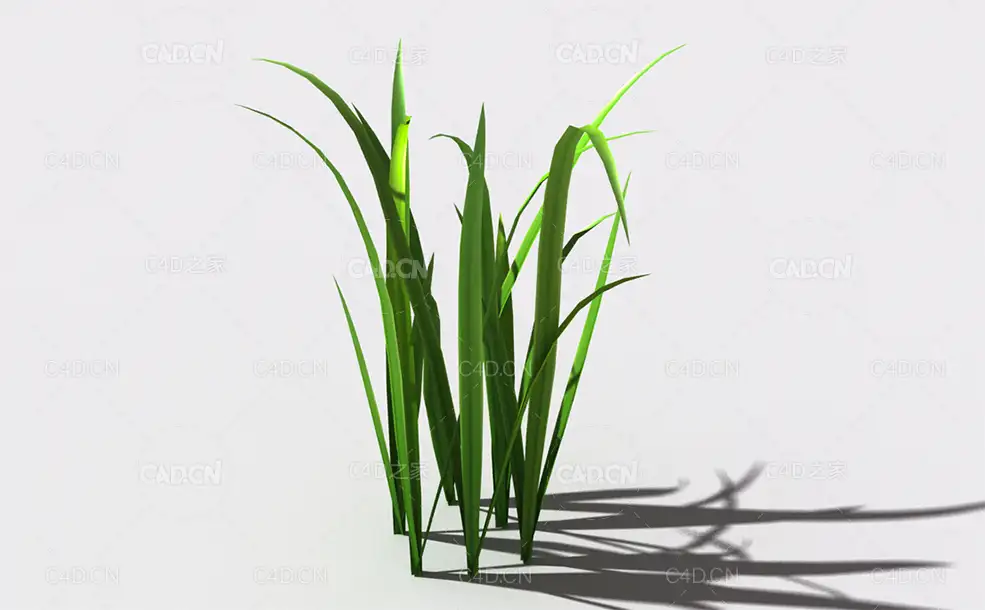 野草植物C4D模型 wild-grass-l3 - C4D之家 - 154.jpg