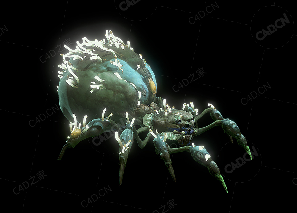 科幻变异巨型蜘蛛 giant-king-spider