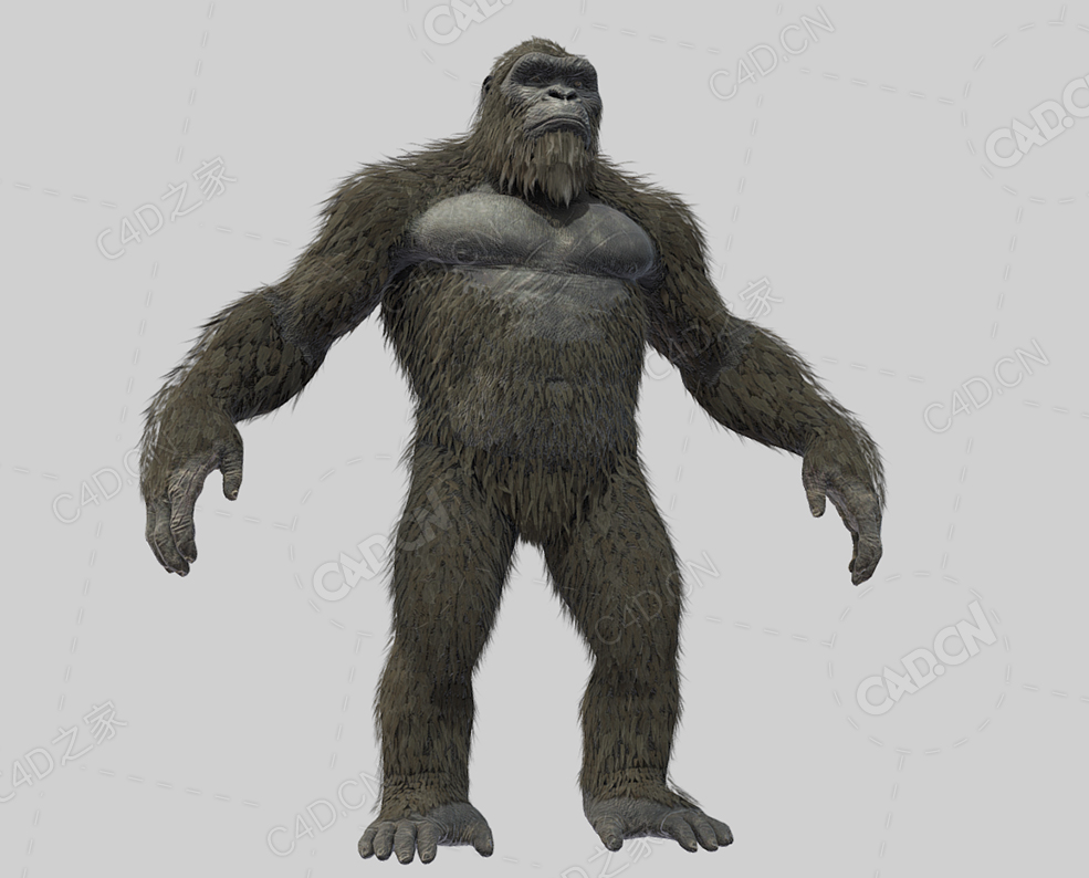 大猩猩 kong-2021-with-realistic-hair