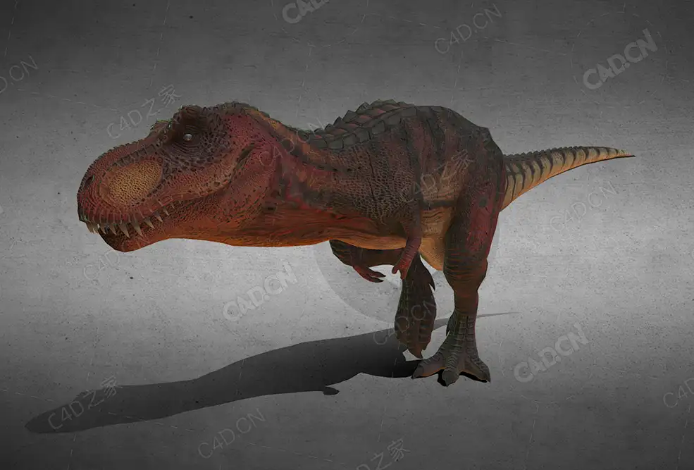 霸王龙 tyrannosaurus-rex