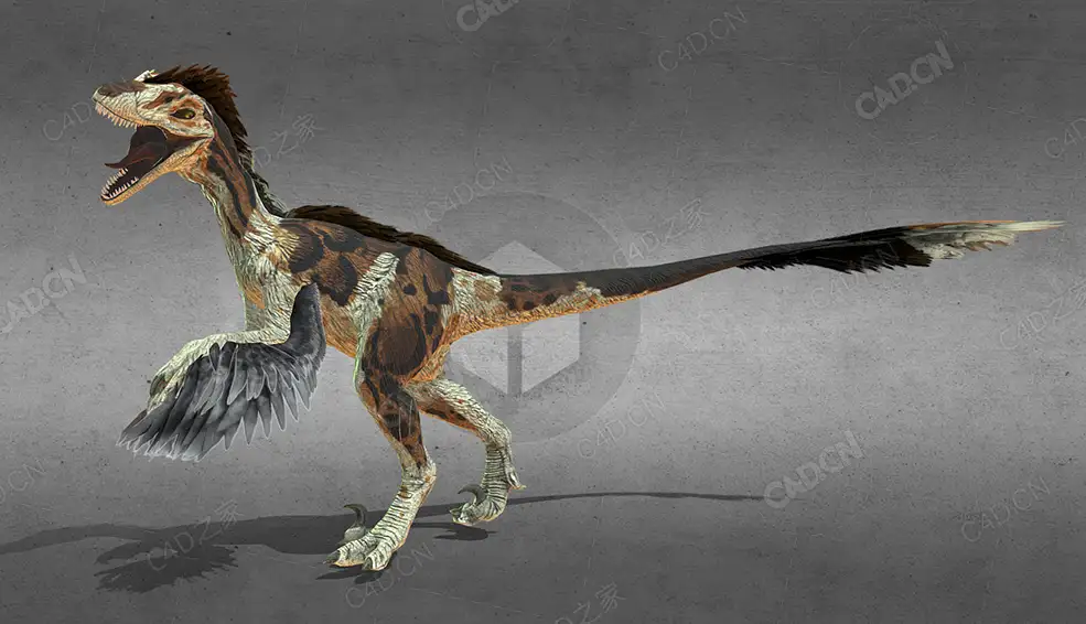 蒙古迅猛龙 velociraptor-mongoliensis-rigged