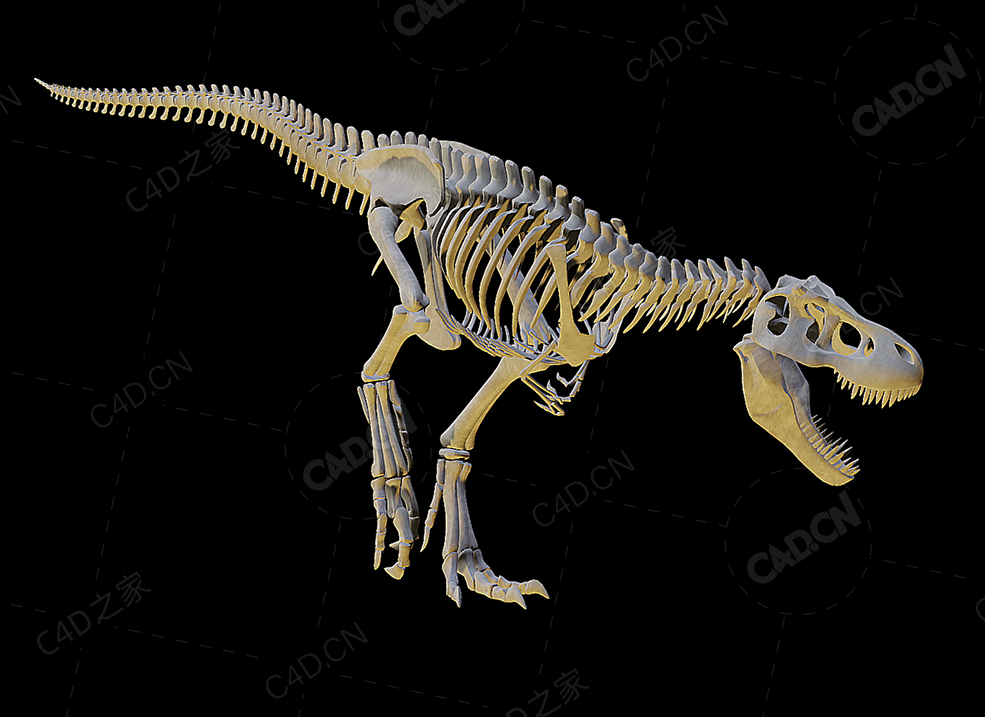霸王龙骨架 tyrannosaurus-rex-skeleton