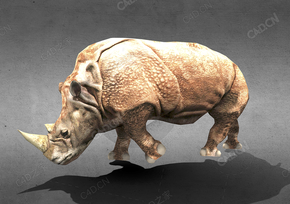 犀牛 rhinoceros-withwalkrunattackidle-animations