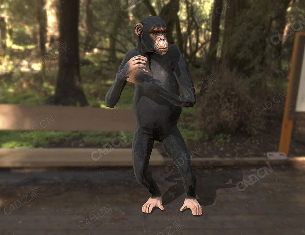 低面黑猩猩动画 chimpanzee-animated