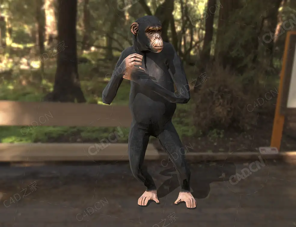 低面黑猩猩动画 chimpanzee-animated