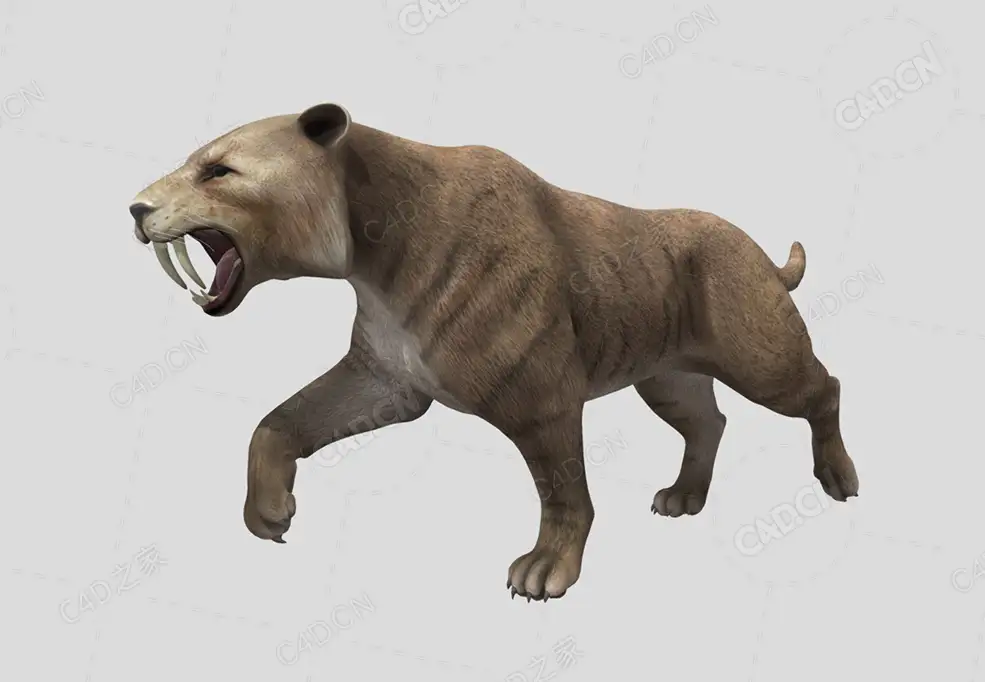 剑齿虎 tiger-cat