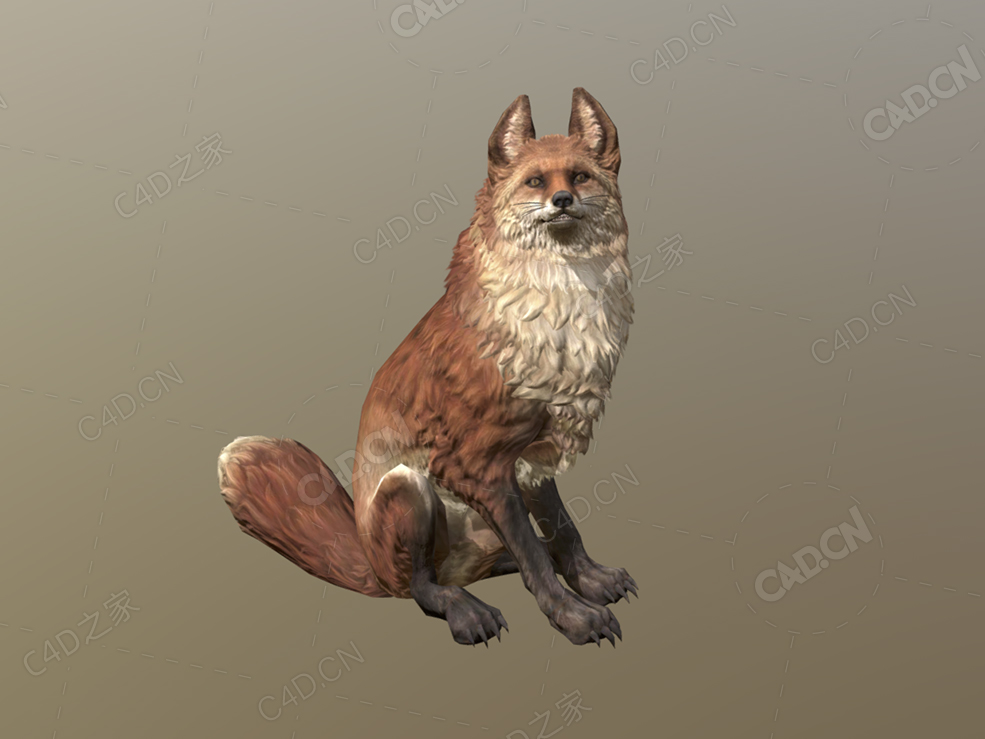 走路的狐狸动画模型 fox-rigged