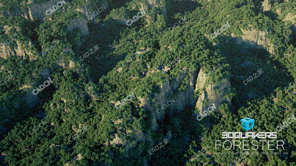 C4D森林岩石植物树木花草生长动画插件3DQUAKERS Forester v1.5.0