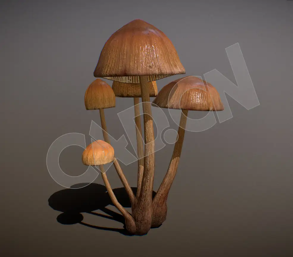 逼真的野外蘑菇真菌模型 - C4D之家 - 54.jpg