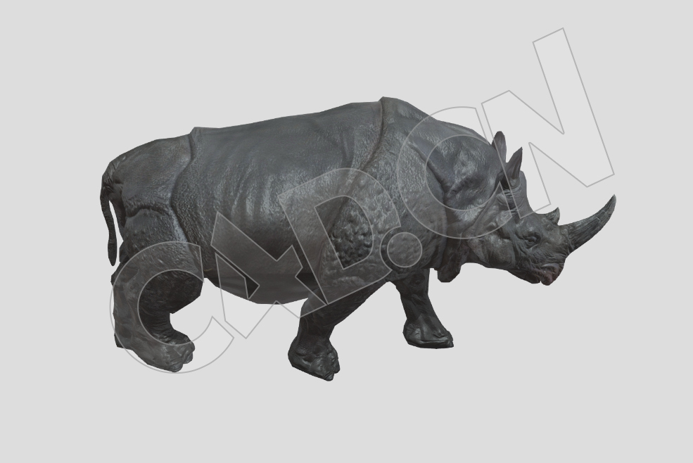 犀牛漫步动画模型