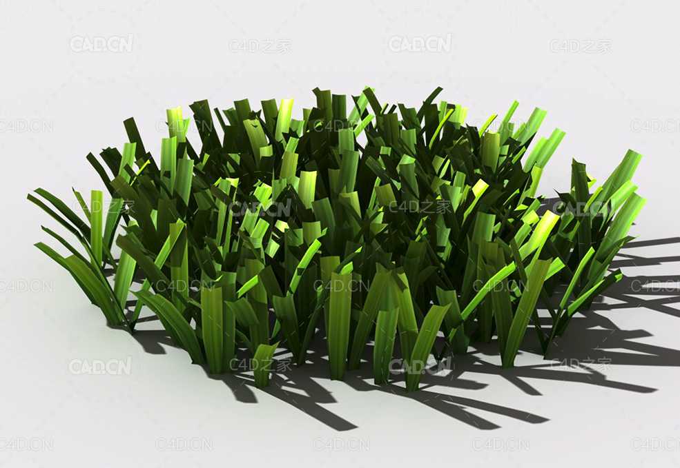 草坪草地绿草植物C4D模型 lawn-grass-h1 - C4D之家 - 153002whaoh4h4a3mzba8n.jpg