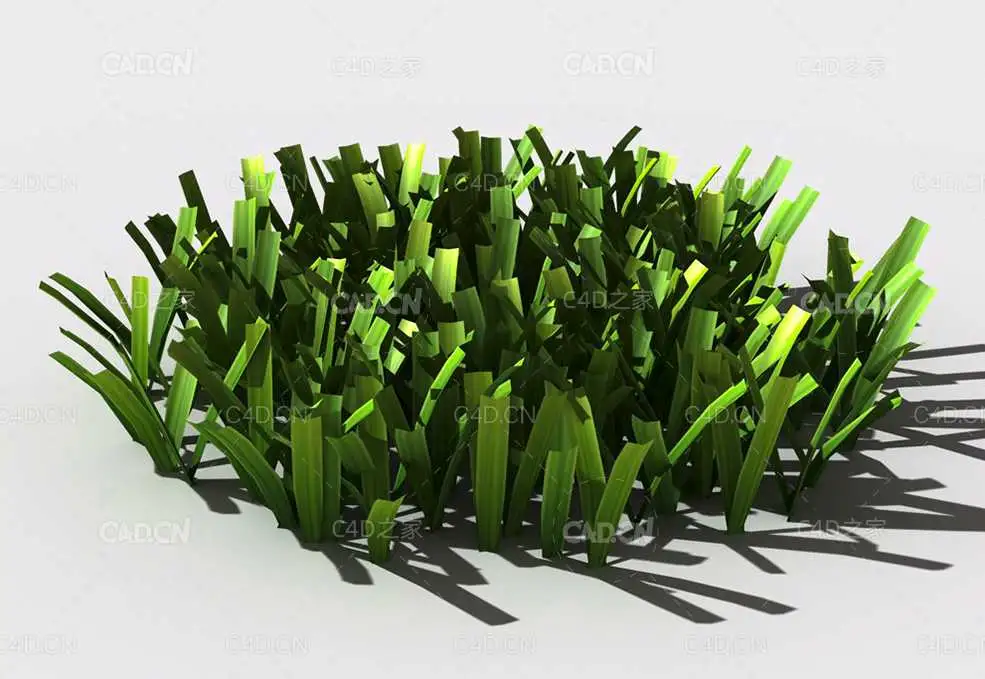 草坪草地绿草植物C4D模型 lawn-grass-h1 - C4D之家 - 153002whaoh4h4a3mzba8n.jpg