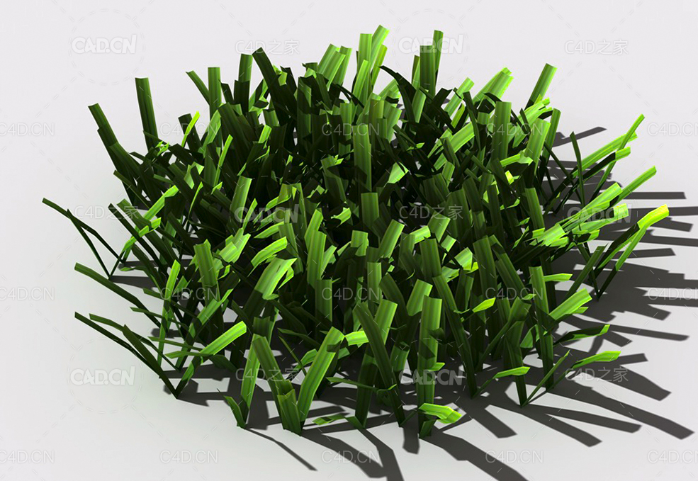 草坪草地绿草植物C4D模型 lawn-grass-h2 - C4D之家 - 153002h5hbjhtjghbjsmgh.jpg