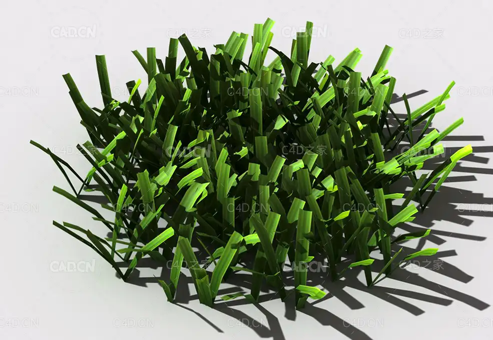 草坪草地绿草植物C4D模型 lawn-grass-h2 - C4D之家 - 153002h5hbjhtjghbjsmgh.jpg