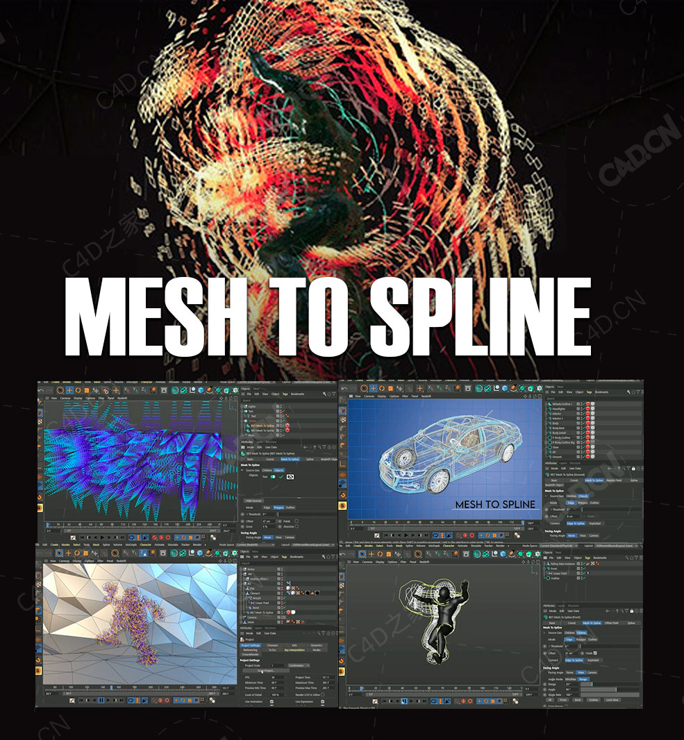 C4D网格边多边形和轮廓转样条线插件RocketLasso Mesh To Spline v1.0 Win/Mac - C4D之家 - 未标题-1.jpg