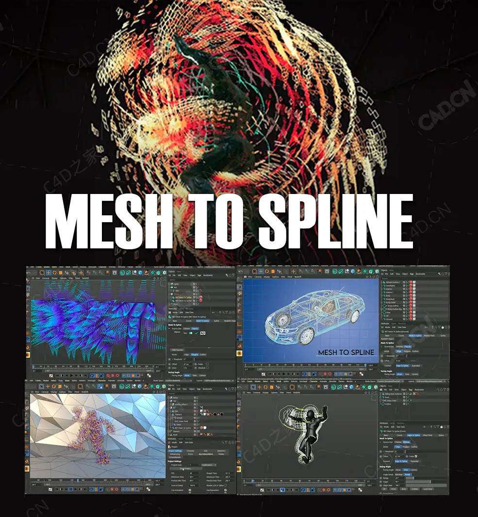C4D网格边多边形和轮廓转样条线插件RocketLasso Mesh To Spline v1.0 Win/Mac