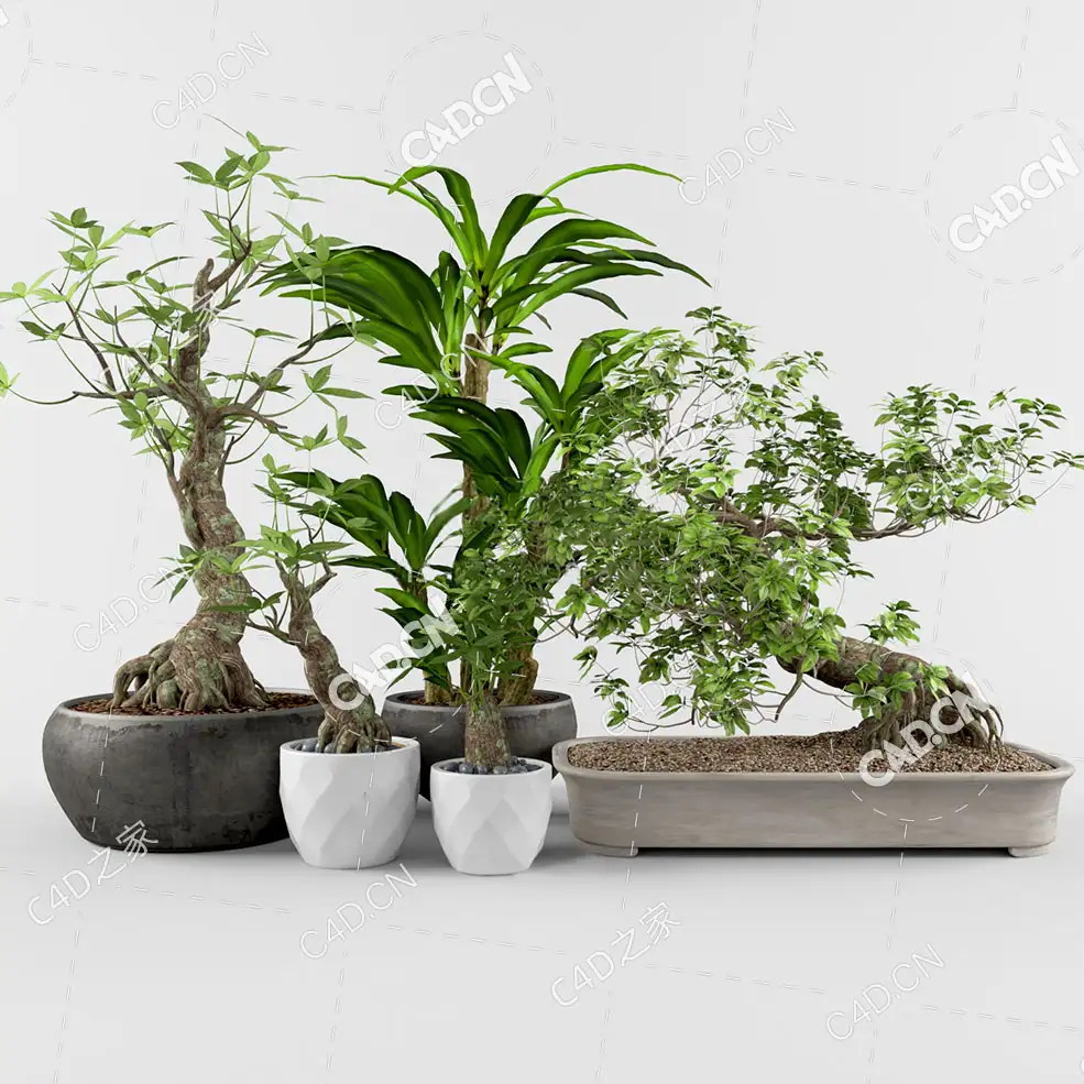 5盆绿植盆景植物模型办公室盆栽书房绿植装饰模型