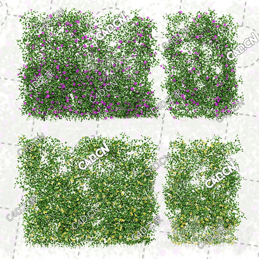 四个爬藤植物花卉牵牛花篱笆墙模型 - C4D之家 - 3d3-(32).jpg