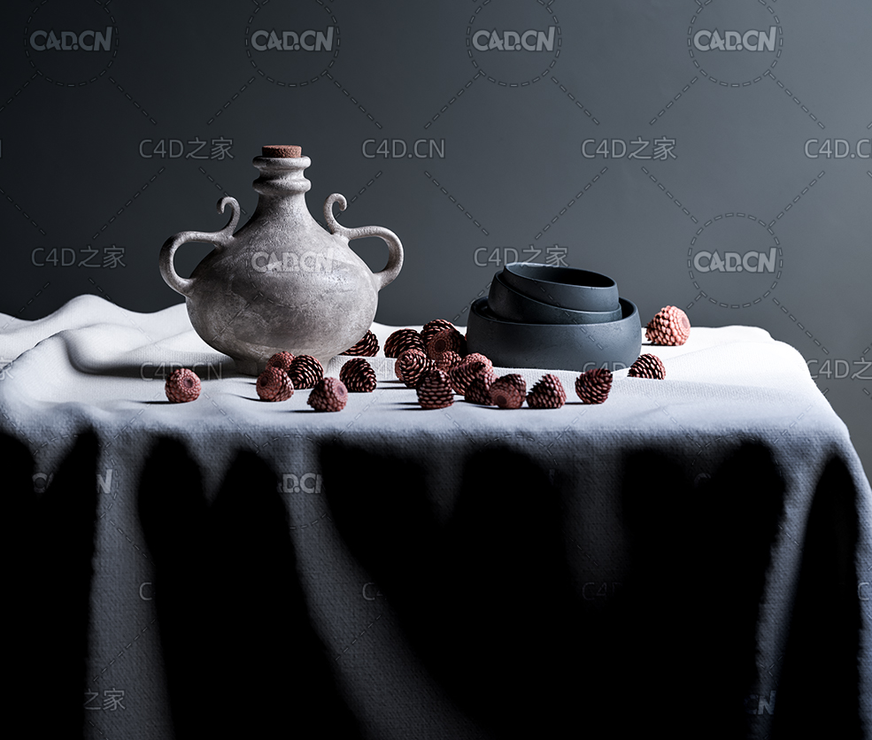 桌上的静物陶罐松果模型Still life Vases - C4D之家 - PC_1.jpg