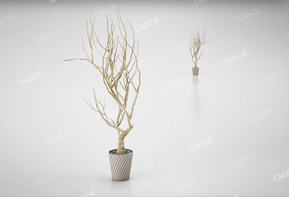 装饰树 decorative tree - C4D之家 - 61.jpg