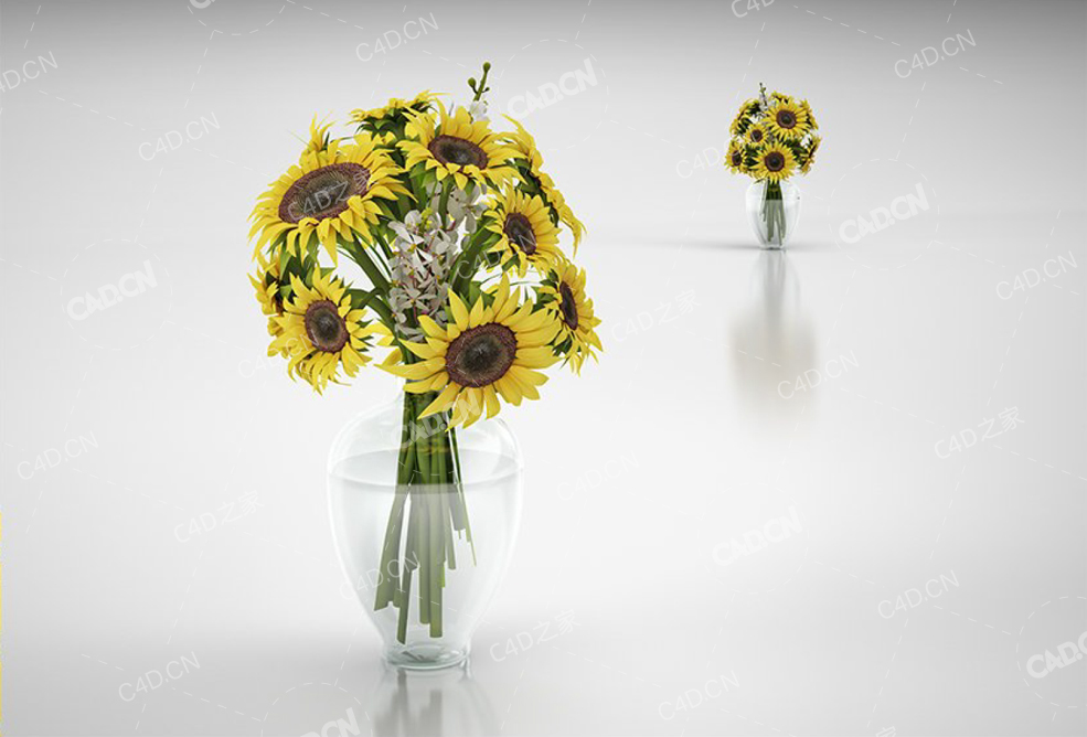向日葵花束 sunflowers bouquet - C4D之家 - 62.jpg