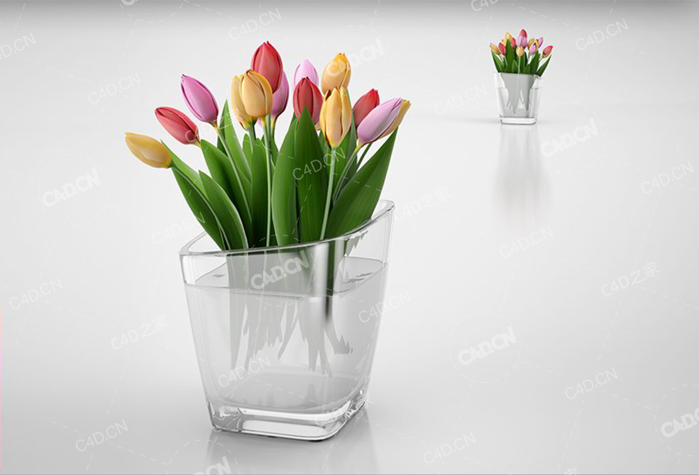 郁金香花束 tulip bouquet - C4D之家 - 64.jpg