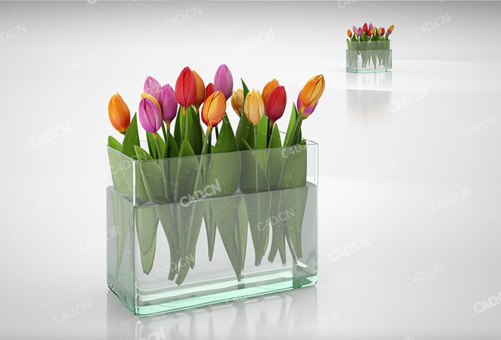 郁金香花束 tulip bouquet - C4D之家 - 63.jpg