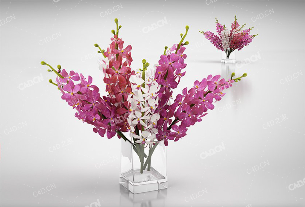 花束 flower bouquet - C4D之家 - 66.jpg