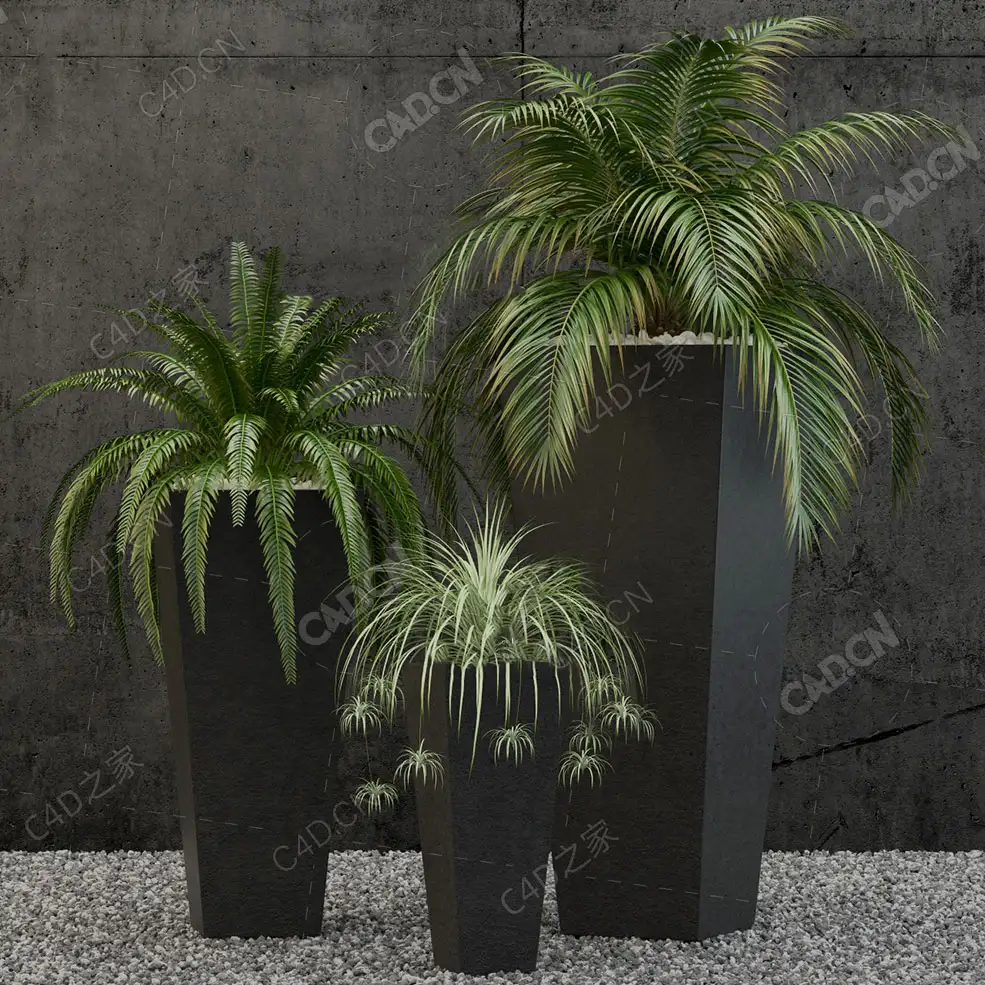 3盆室内景观盆景植物蒲葵针叶绿植吊兰落地盆栽模型落地绿植模型刺葵模型
