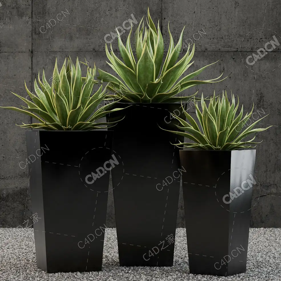 3盆室内绿植盆栽落地盆栽模型落地绿植模型金边龙舌兰模型