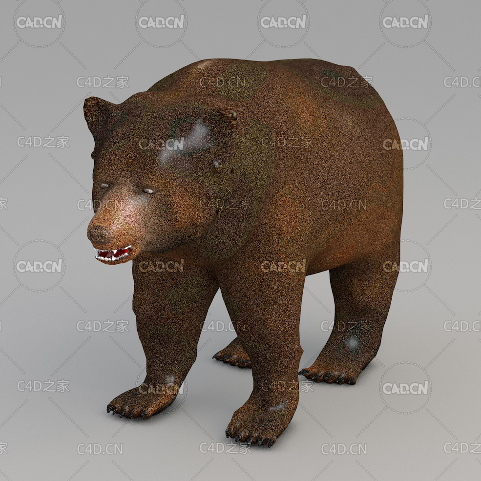 棕熊 bear - C4D之家 - 01.jpg