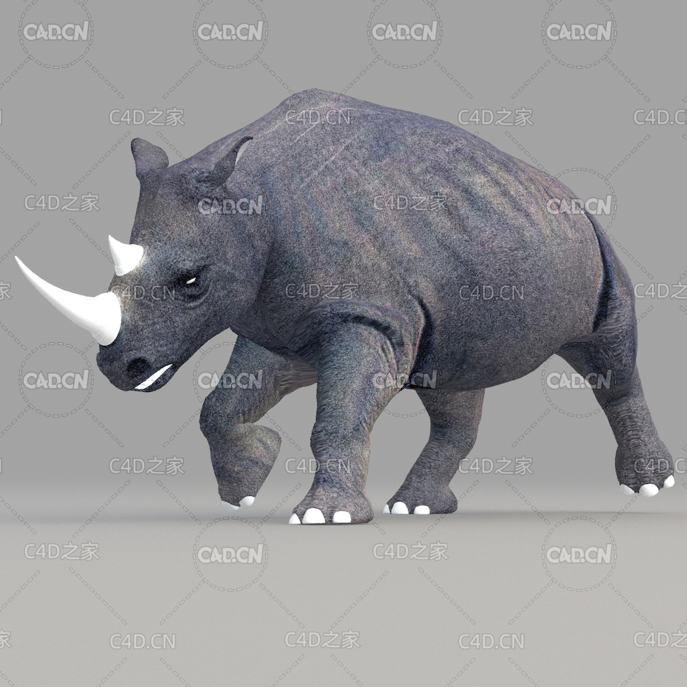 犀牛 rhino - C4D之家 - 16.jpg