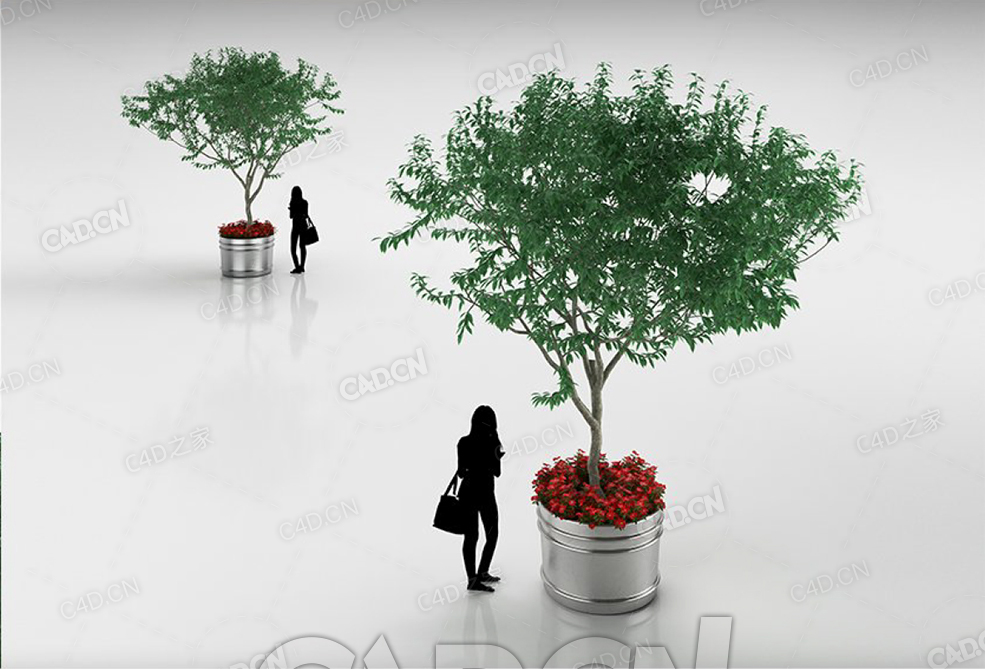 盆栽大叶树C4D模型 - C4D之家 - 21.jpg