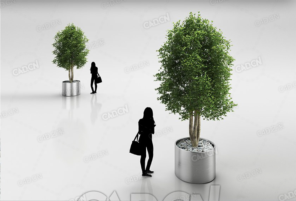 圆型花盆内的绿色树木C4D模型 - C4D之家 - 25.jpg