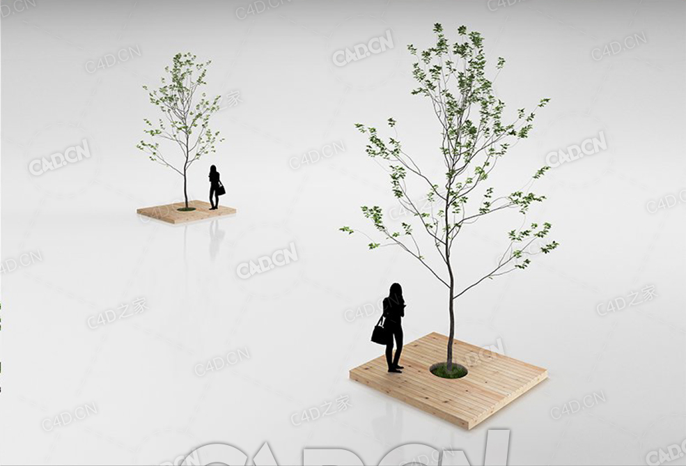 木质基座上的树苗幼树C4D模型 - C4D之家 - 23.jpg