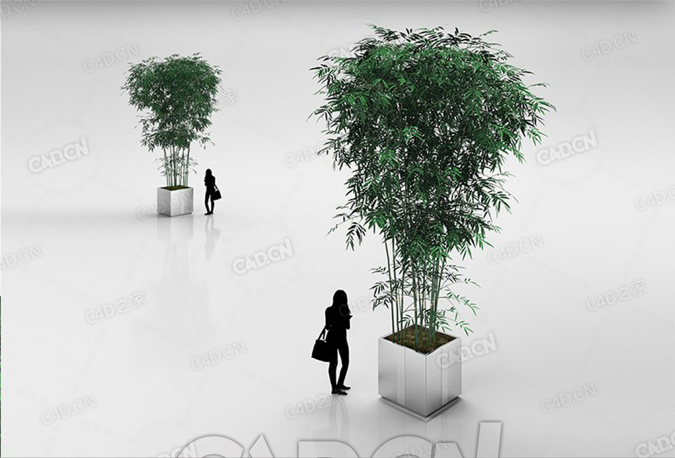 盆栽竹子C4D模型 - C4D之家 - 28.jpg