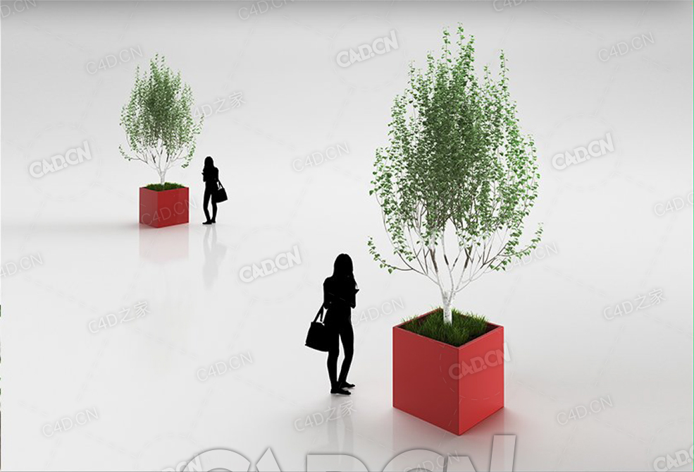 盆栽白桦树C4D模型 - C4D之家 - 22.jpg