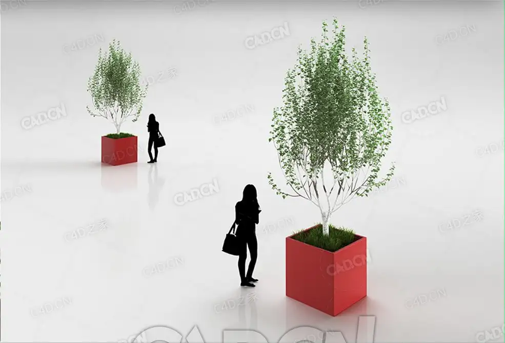 盆栽白桦树C4D模型 - C4D之家 - 22.jpg