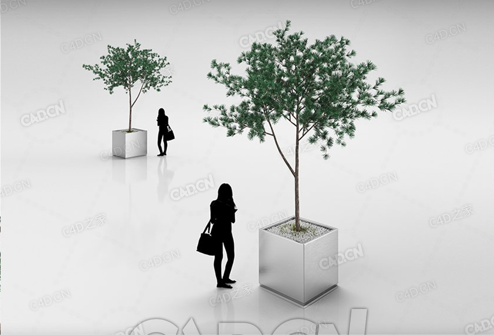 钢盆中松树C4D模型 - C4D之家 - 24.jpg