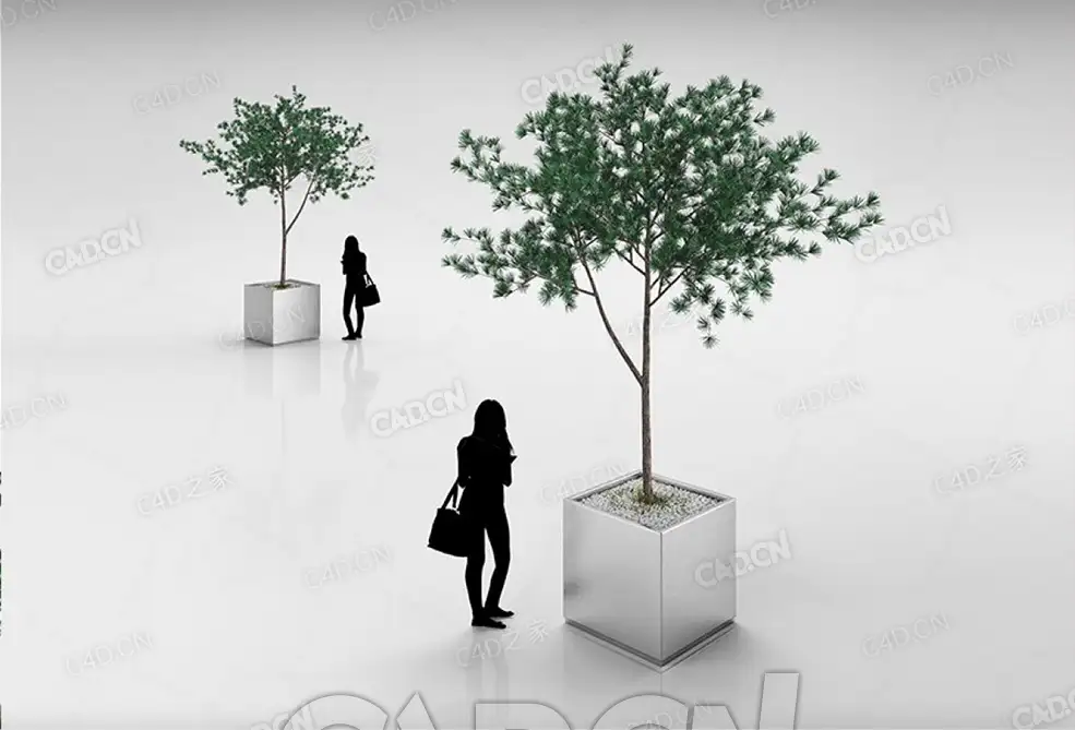钢盆中松树C4D模型 - C4D之家 - 24.jpg