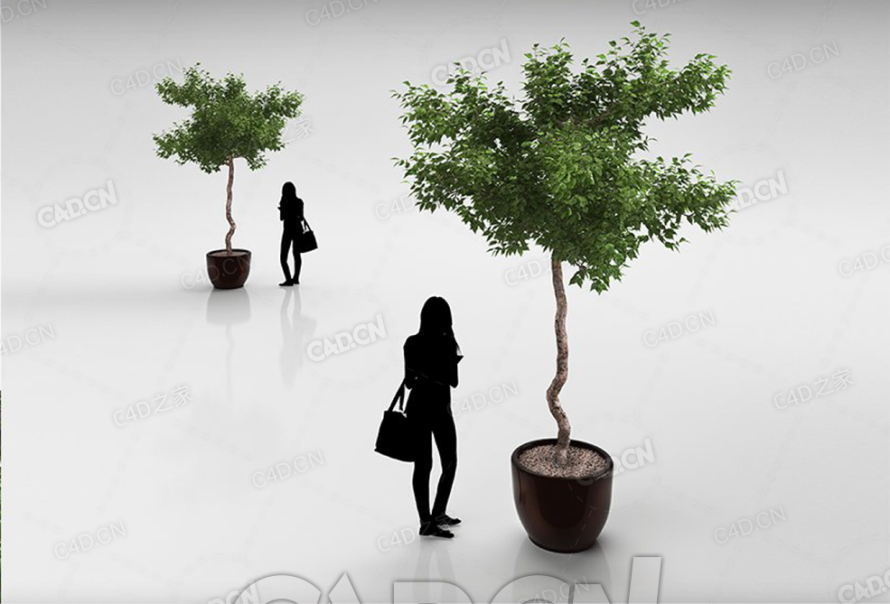 陶瓷花盆中景观树C4D模型 - C4D之家 - 30.jpg