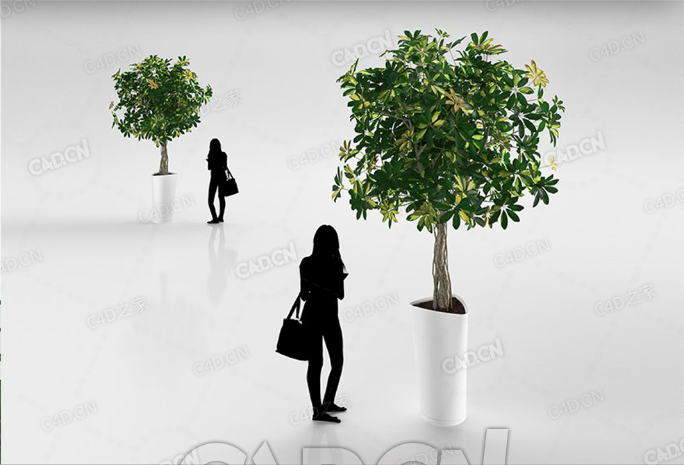 盆栽景观树C4D模型 - C4D之家 - 31.jpg