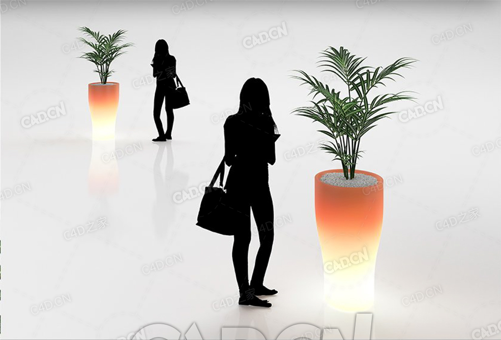 棕榈树盆栽景观树C4D模型 - C4D之家 - 37.jpg