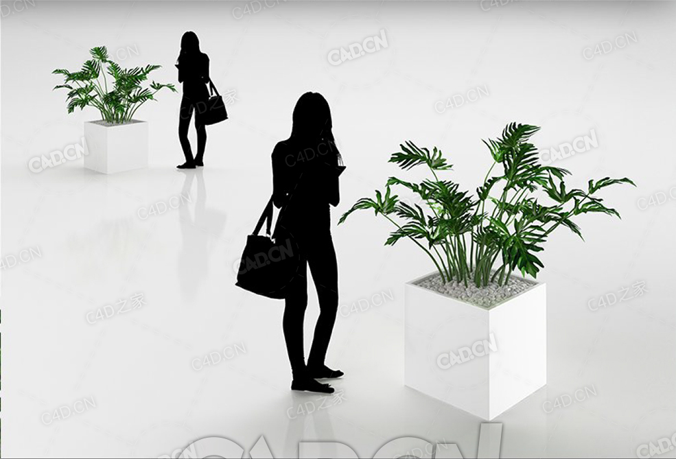 绿植龟背竹盆栽植物C4D模型 - C4D之家 - 40.jpg