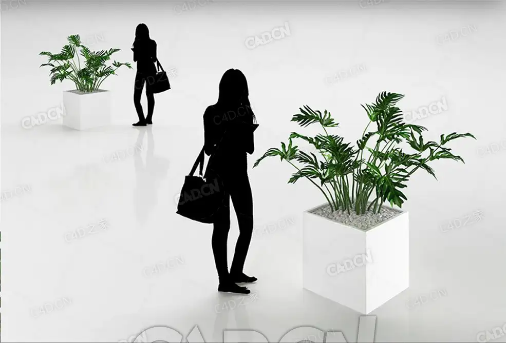 绿植龟背竹盆栽植物C4D模型 - C4D之家 - 40.jpg