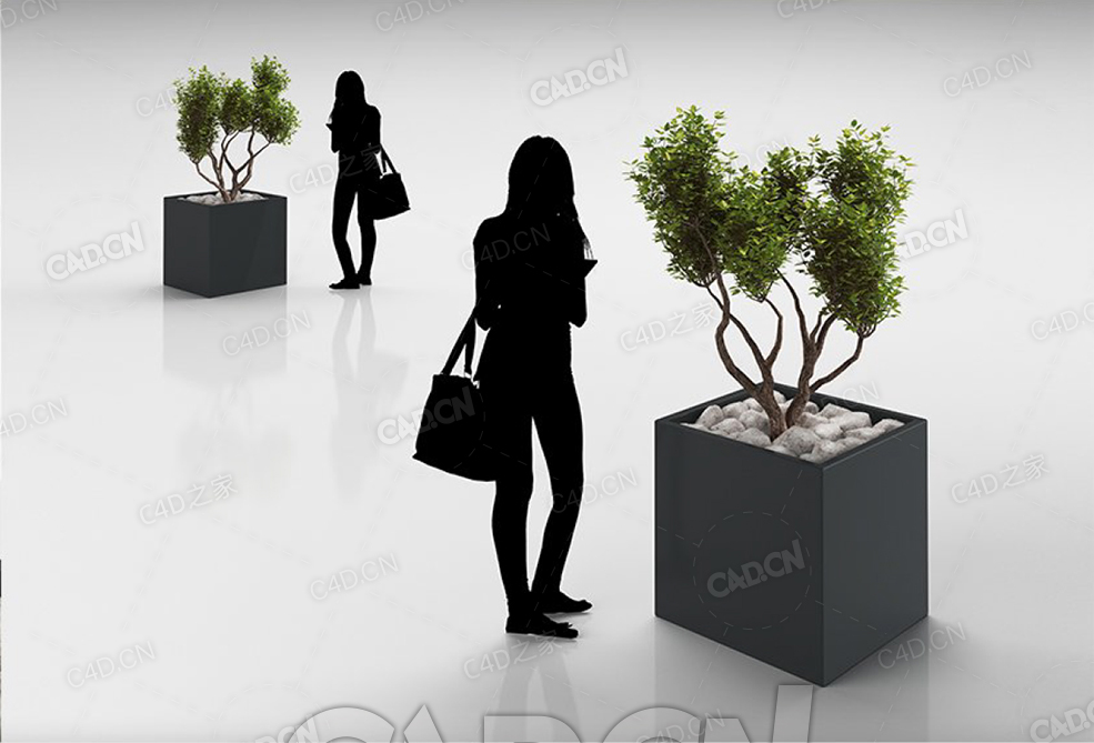 盆栽景观树C4D模型 - C4D之家 - 39.jpg