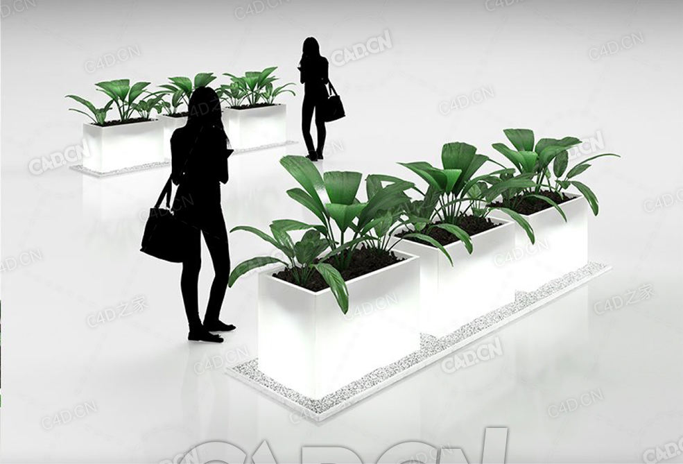 绿植盆栽植物花盆C4D模型 - C4D之家 - 36.jpg