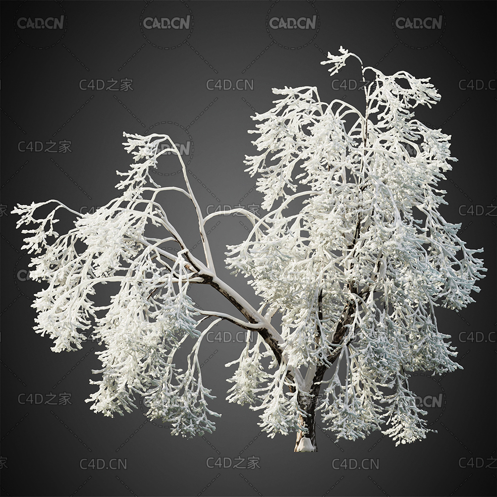 大雪压弯的树冬天的树木雾凇C4D模型HeliosVegetation Vol.1