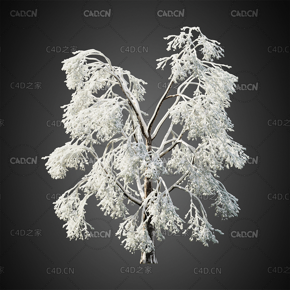 冬天树挂雾凇树木C4D模型HeliosVegetation Vol.10